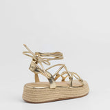 MIM Plataforma Baja ALAN DORADO