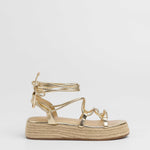 MIM Plataforma Baja ALAN DORADO