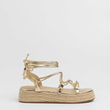 MIM Plataforma Baja ALAN DORADO