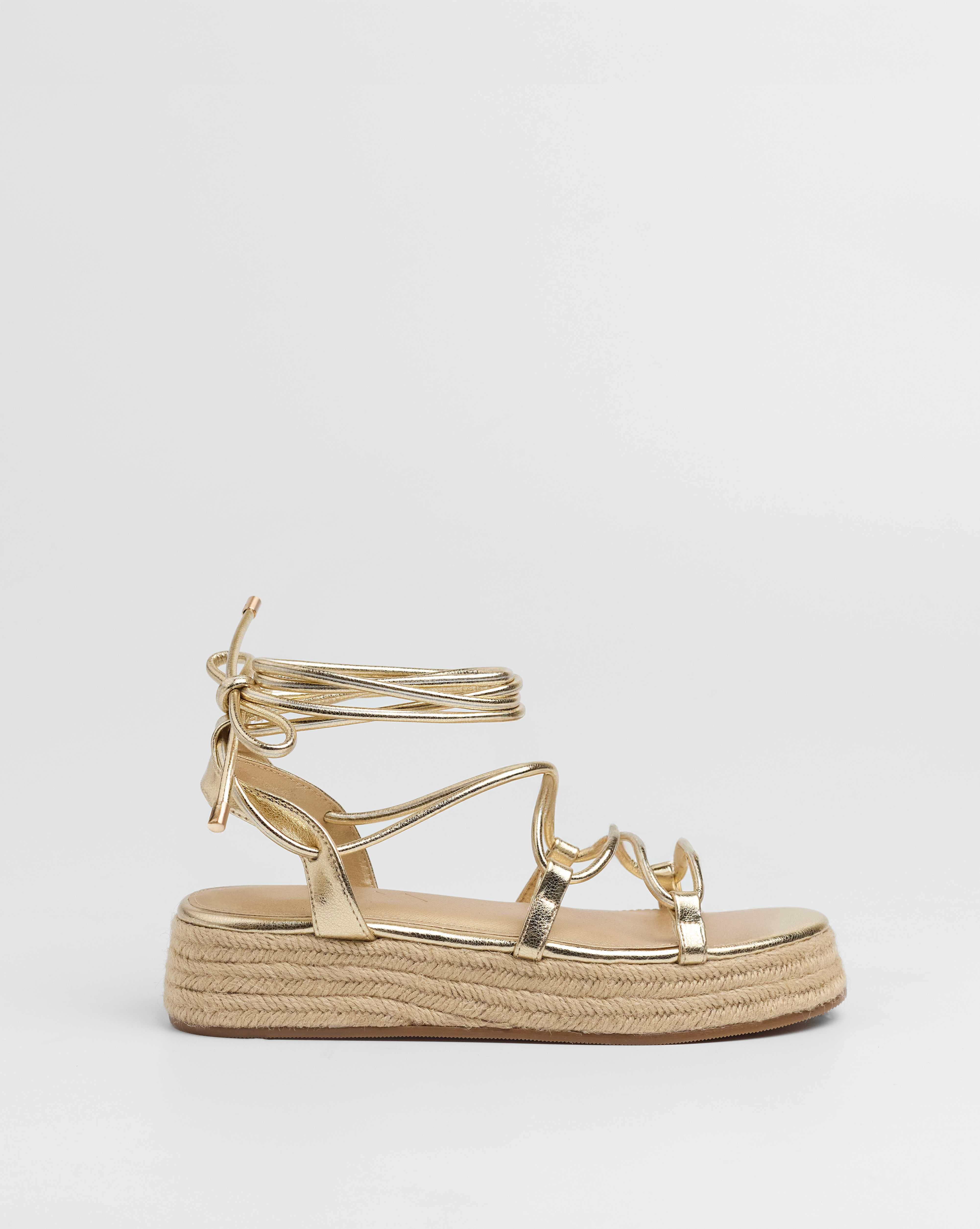 MIM Plataforma Baja ALAN DORADO