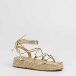 MIM Plataforma Baja ALAN DORADO