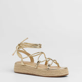 MIM Plataforma Baja ALAN DORADO