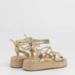 MIM Plataforma Baja ALAN DORADO