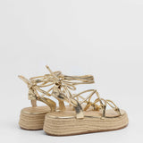 MIM Plataforma Baja ALAN DORADO