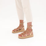 MIM Plataforma Baja ALAN DORADO