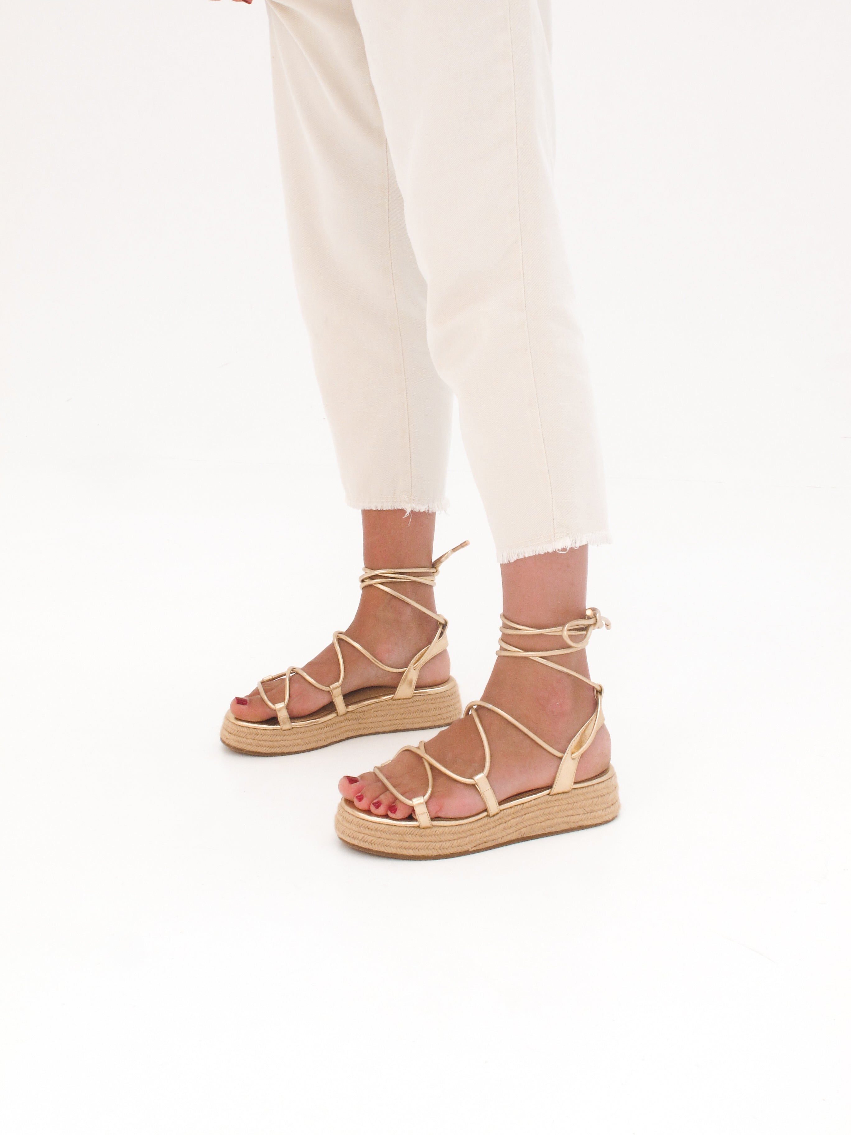 MIM Plataforma Baja ALAN DORADO