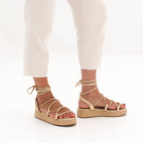 MIM Plataforma Baja ALAN DORADO