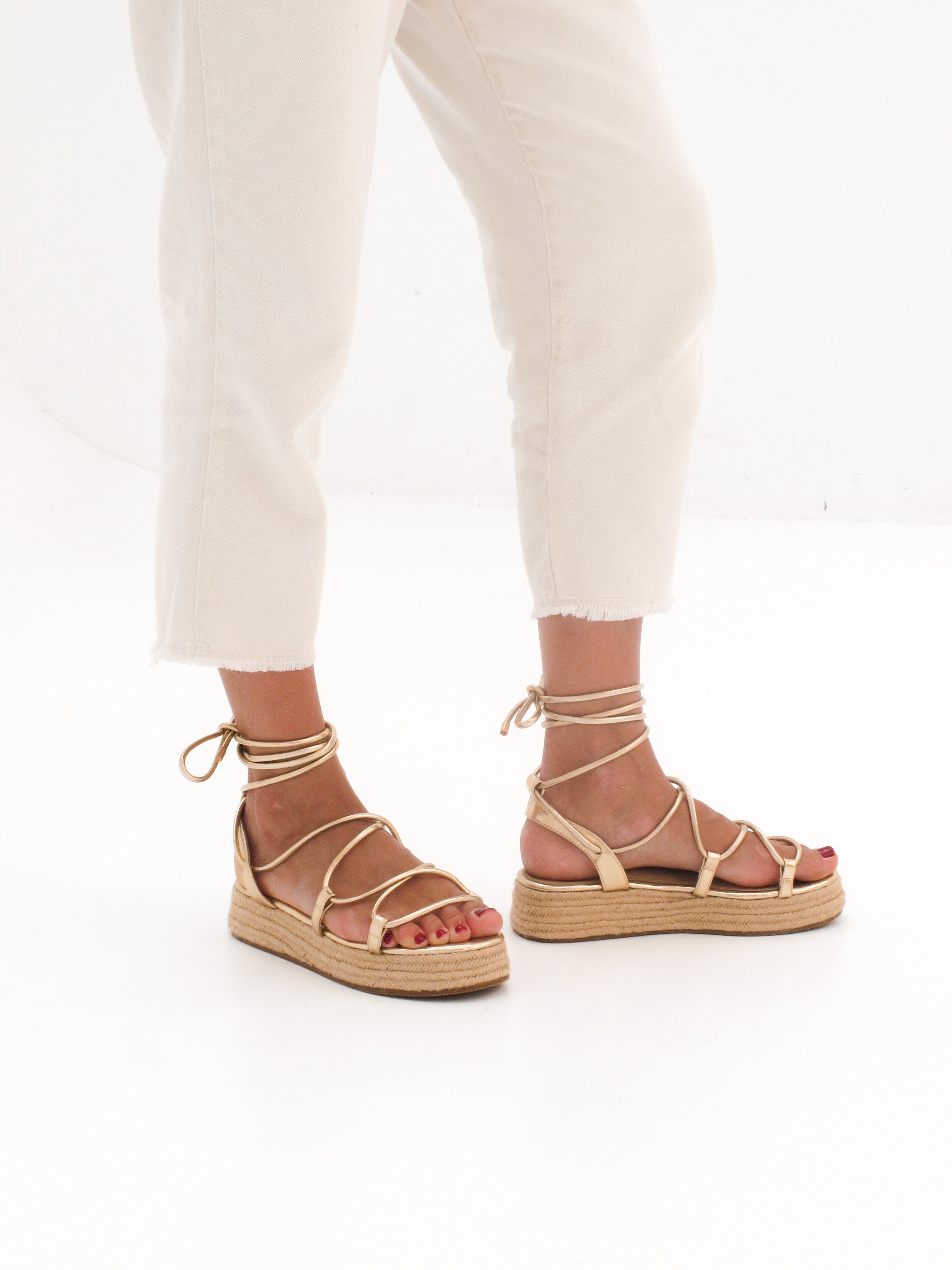 MIM Plataforma Baja ALAN DORADO