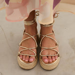 MIM Plataforma Baja ALAN DORADO