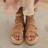 MIM Plataforma Baja ALAN DORADO