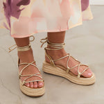 MIM Plataforma Baja ALAN DORADO