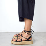 MIM Plataforma Baja ALAN NEGRO