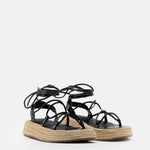 MIM Plataforma Baja ALAN NEGRO